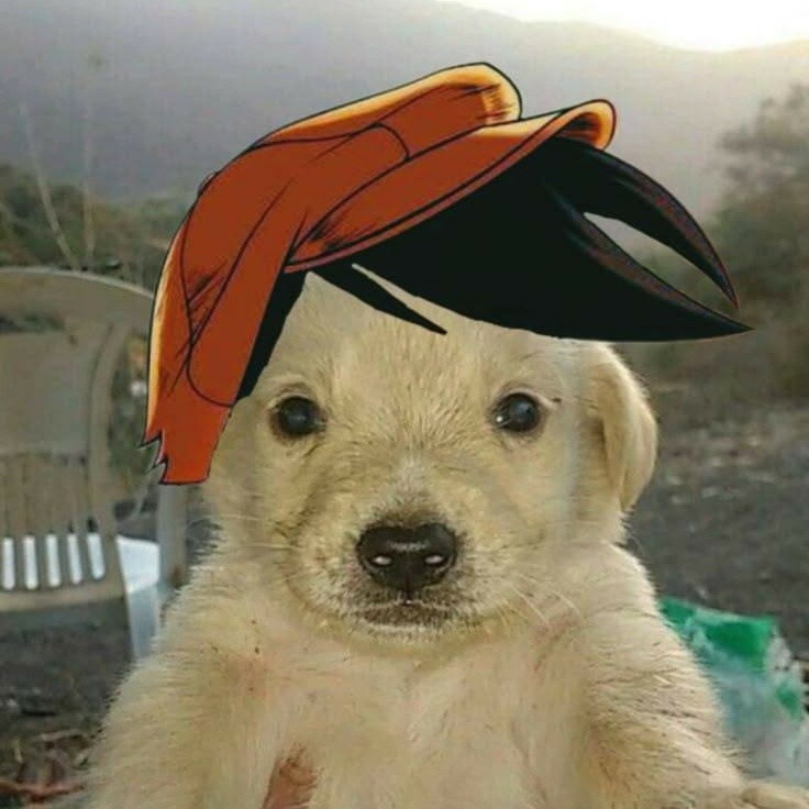 azizerenbey
